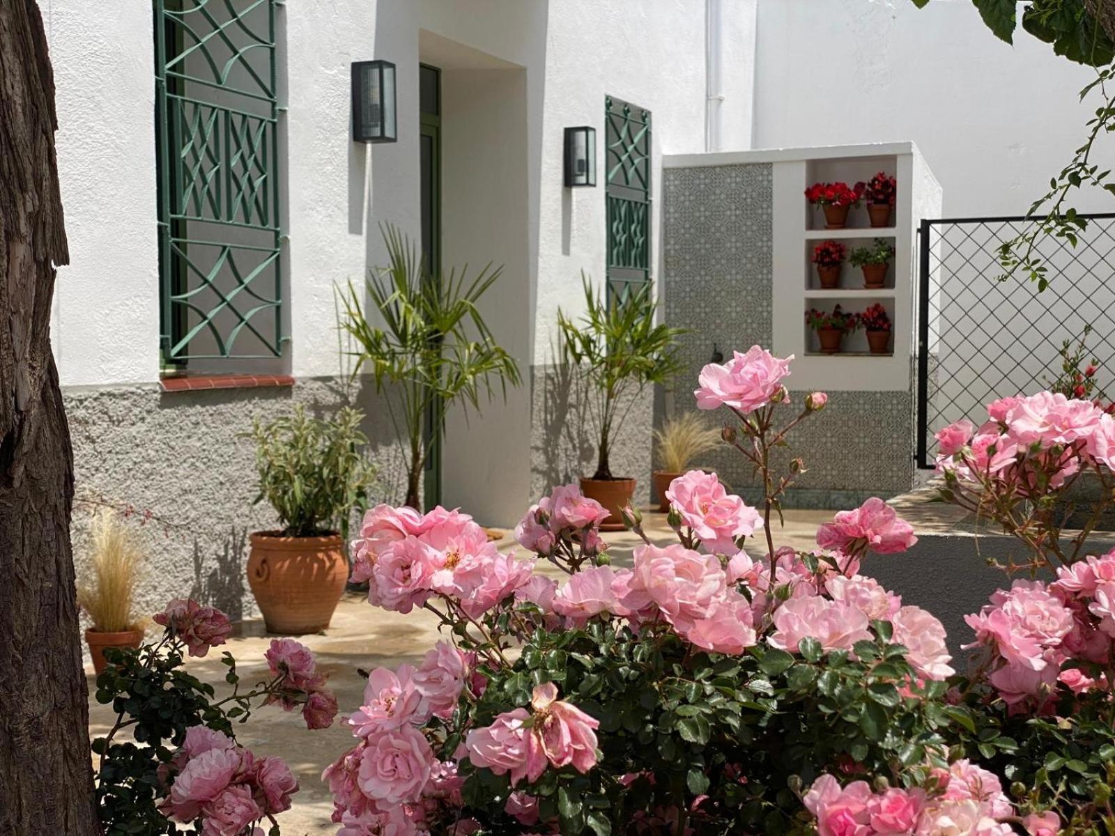 Hotel Les Filles à Deltebre Extérieur photo