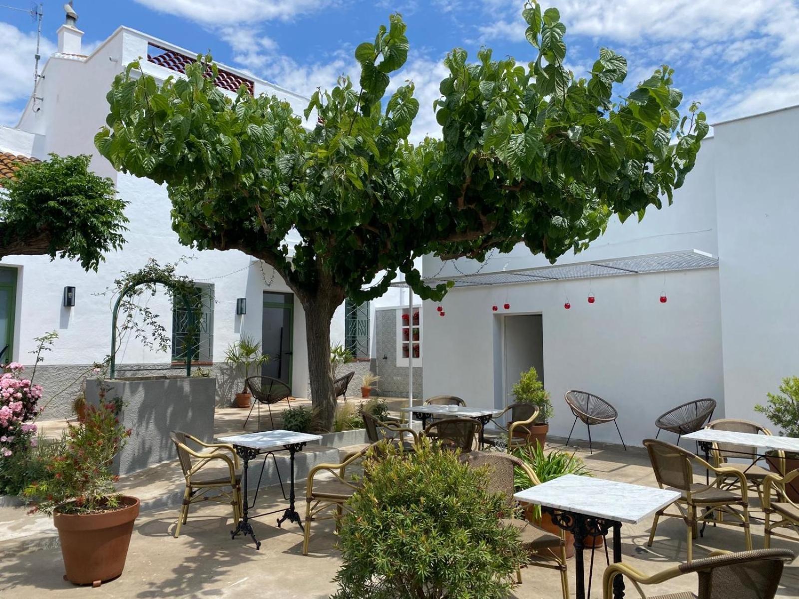Hotel Les Filles à Deltebre Extérieur photo